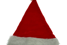 Christmas Hat